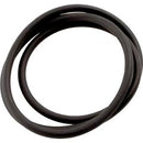 Zodiac Jandy CS Series Tank Lid O-Ring