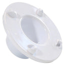 Pentair Flange Thd Wall