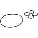 CMP Jandy neverlube valve diverter Assembly
