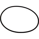 Hayward Housing O-Ring