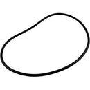 Jandy Pro Series FHP Backplate O-Ring