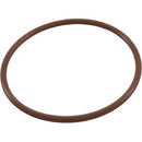 Jandy Truchlor and CMP Powerclean Cap O-Ring Viton CMP Feeder