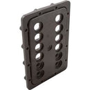 Jandy JXI Manifold Backplate