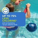 FROG @ease Sanitizing Smartchlor Cartridge for Swim Spas