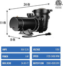 Blue Torrent Maxi Pump – Dual Port