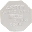 Plug, Lasco, 2" Spigot