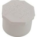 Plug, Lasco, 2" Spigot