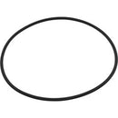 Cap O-Ring 01-22-1922