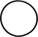 Hayward TriStar & EcoStar Pump Strainer Cover O-Ring