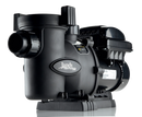 VS FLOPRO VARIABLE-SPEED PUMP with controler