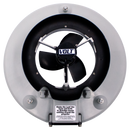 Water Tech Volt Leaf Vacuum