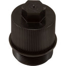 Pentair American Products Clean and Clear Quad Drain Plug