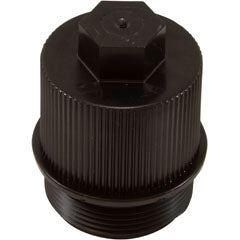 Pentair American Products Clean and Clear Quad Drain Plug