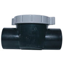 CMP 2" Serviceable CPVC Check Valve