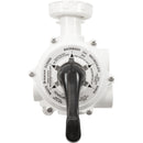 Valve  for Pentair FNS, FNS PLUS and FNSP D.E Filters