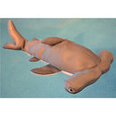 Main Access Seaside Rider Nails