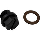 ¼" Pipe Plug & Gasket
