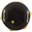 Shutoff Switch AGS, Pentair MasterTemp