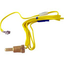 Thermistor Probe, Pentair Minimax CH, Millivolt
