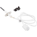 Hayward Ignitor