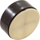 Check Valve Pentair Clean and Clear