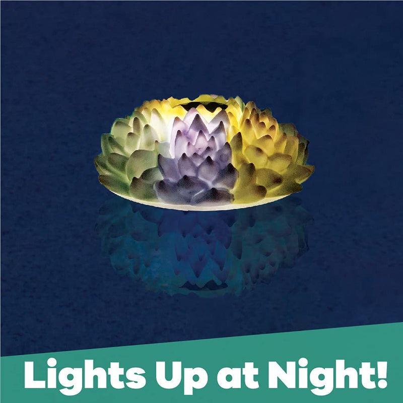light up succulent Succulent Garden Solar Light up Pool Chlorinator