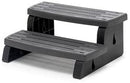 WaterWay Spa Step Assembly Graphite