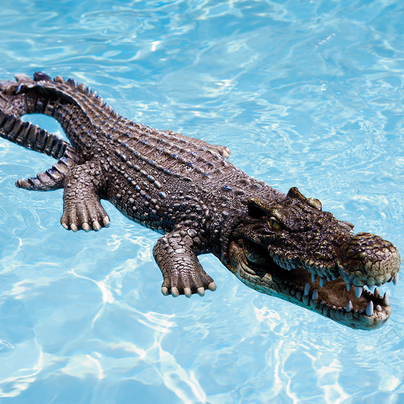 Crocodile Body Float