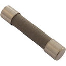 Slow Blow Fuse 20A 250v