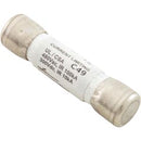 Time Delay Fuse 30A SC30