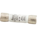 Time Delay Fuse 30A SC30