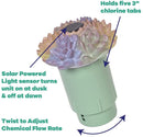 Succulent Garden Solar Light up Pool Chlorinator