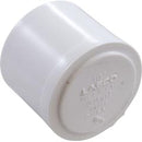 Plug, Lasco, 1-1/2" Spigot