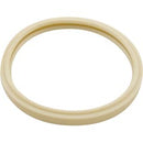 PENTAIR Light Lense Gasket For 8 3/8 Lens
