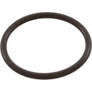 PENTAIR OptiFlo Strainer pot O-Ring
