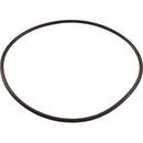 PENTAIR Clean and Clear Body O-Ring