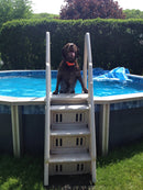 Vinyl Works 24 Wide step entry system AFT