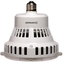 Hayward ColorLogic 120V Replacement Bulb BPCUS11120