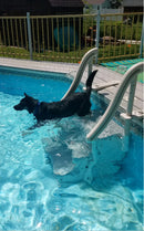 Confer Curved In-Pool Step InGround and Kayak CCX-IG