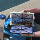 Dolphin Nautilus CC Plus Robotic Pool Cleaner with WI-FI