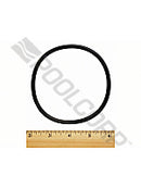 Rainbow viton chemical feeder lid oring