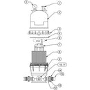 Tank Lid, Pentair American Products CLN/CLR 50/100