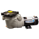 Blue Torrent Above Ground Hurricane D Pumps