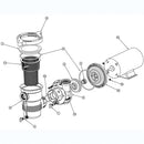 PENTAIR OptiFlo Strainer pot O-Ring