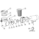 Hayward Matrix SP1591 SP1592 SP1593 Strainer Housing