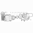 Strainer Cover O-Ring