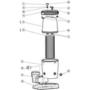 Hayward Xstream Body O-Ring